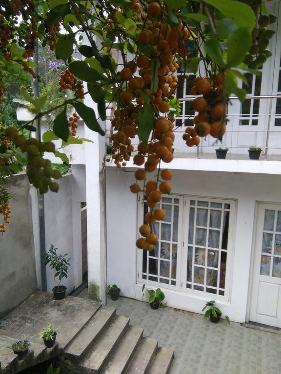 Niwasa House *