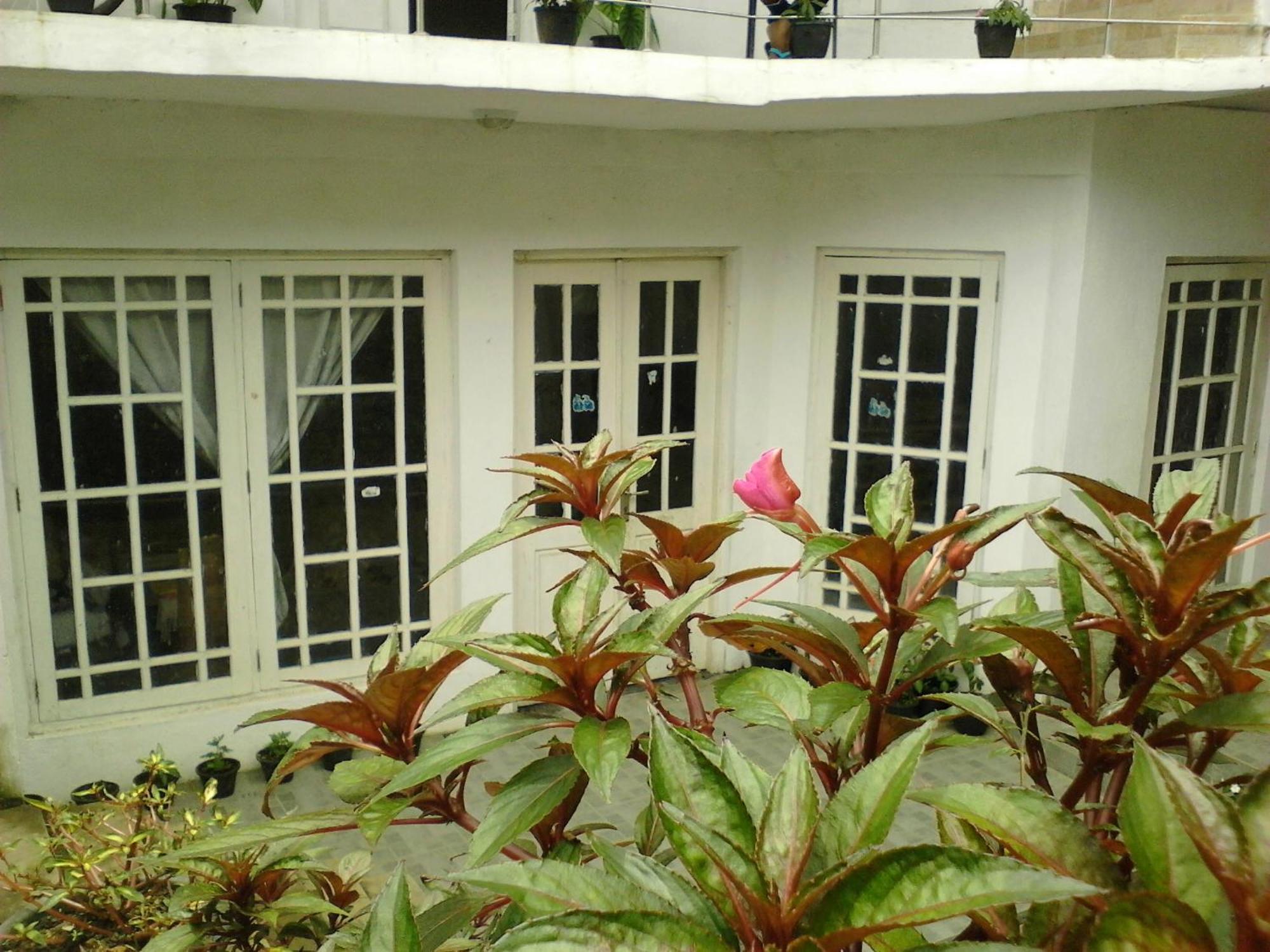 Niwasa House Гостевой дом *